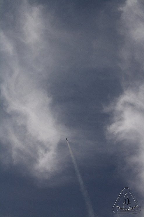 2012 Svojek mirek patek